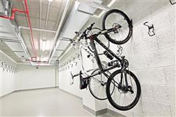 photo_6