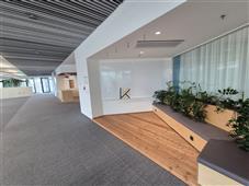 photo_6