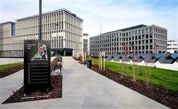 photo_11