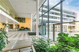 photo_1