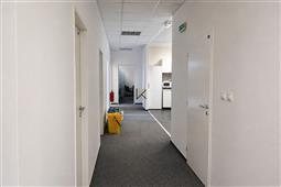 photo_5