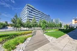 photo_1