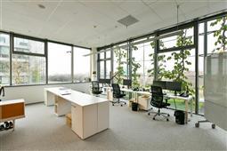photo_3