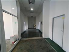 photo_1