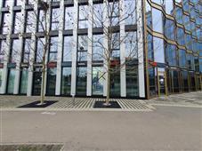 photo_5
