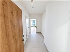 photo_6