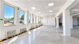 photo_1