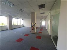 photo_3