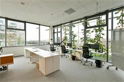 photo_3
