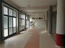 photo_4