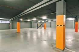 photo_1