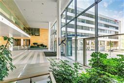 photo_1