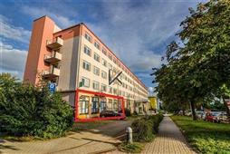 photo_1