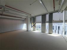 photo_1