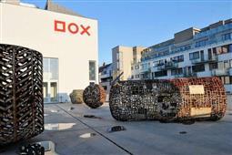 photo_4