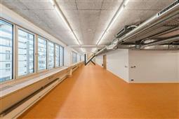 photo_1