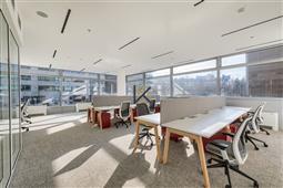 photo_1
