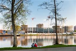 photo_7