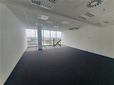 photo_1