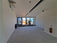 photo_7