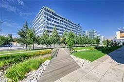 photo_1