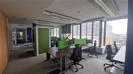 photo_6