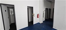 photo_4