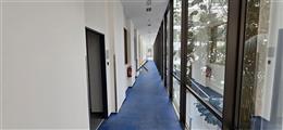 photo_3