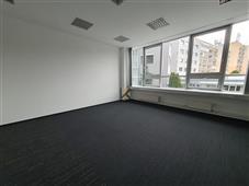 photo_4