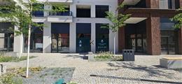 photo_2