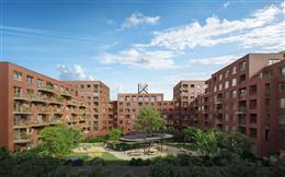 photo_2