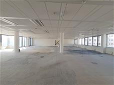 photo_2