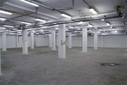 photo_11