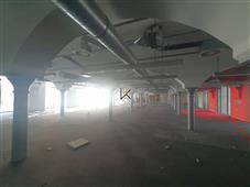 photo_3