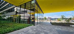 photo_5
