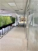 photo_15