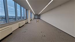 photo_4