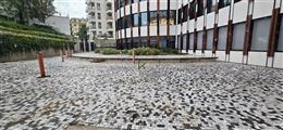 photo_6