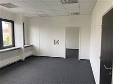 photo_3