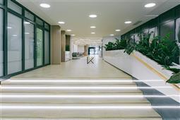 photo_1