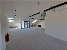 photo_8