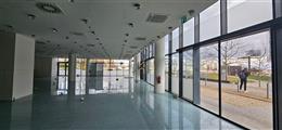 photo_6