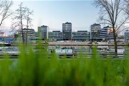photo_1