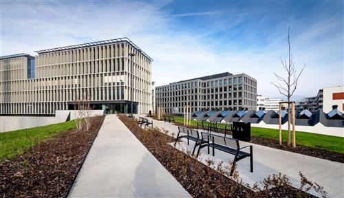 Obrázek projektuMYHIVE PALMOVKA  Business Centrum